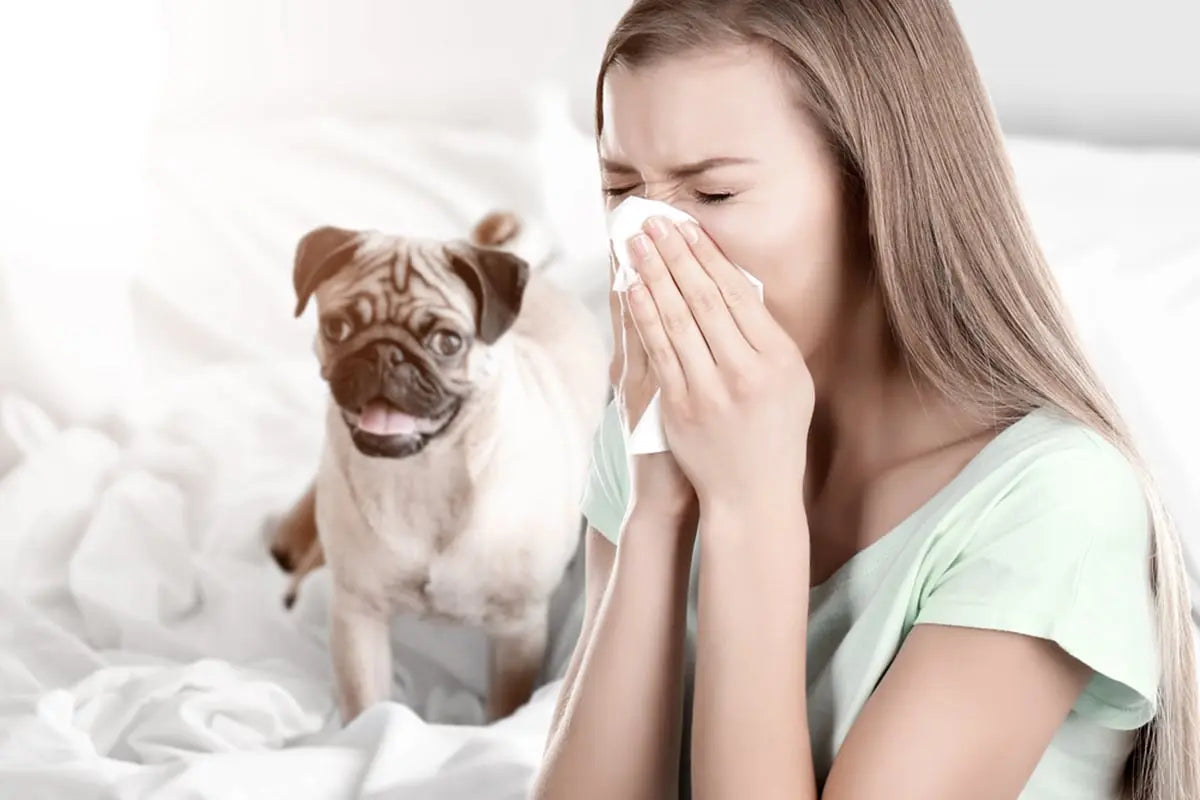 blog Allergie Alimentari? Trova la soluzione più adatta per il Tuo Amichetto a 4 Zampe