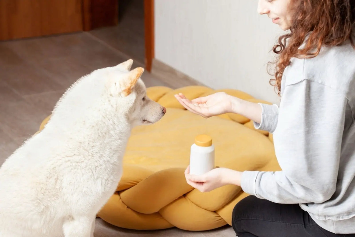 Come-capire-se-il-tuo-cane-o-gatto-ha-bisogno-di-un-integratore Respet Shop