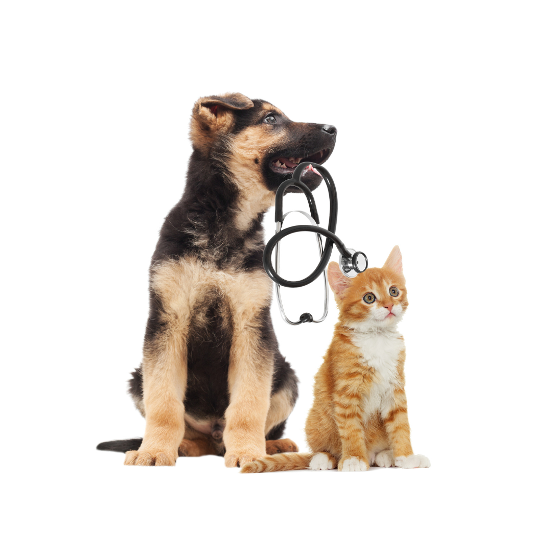 collezione prodotti vet life
