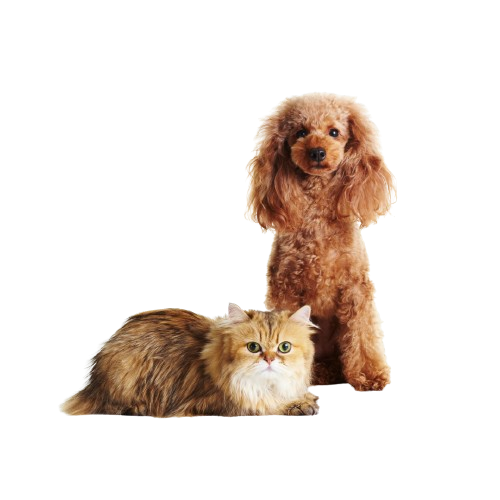 collezione prodotti therapet