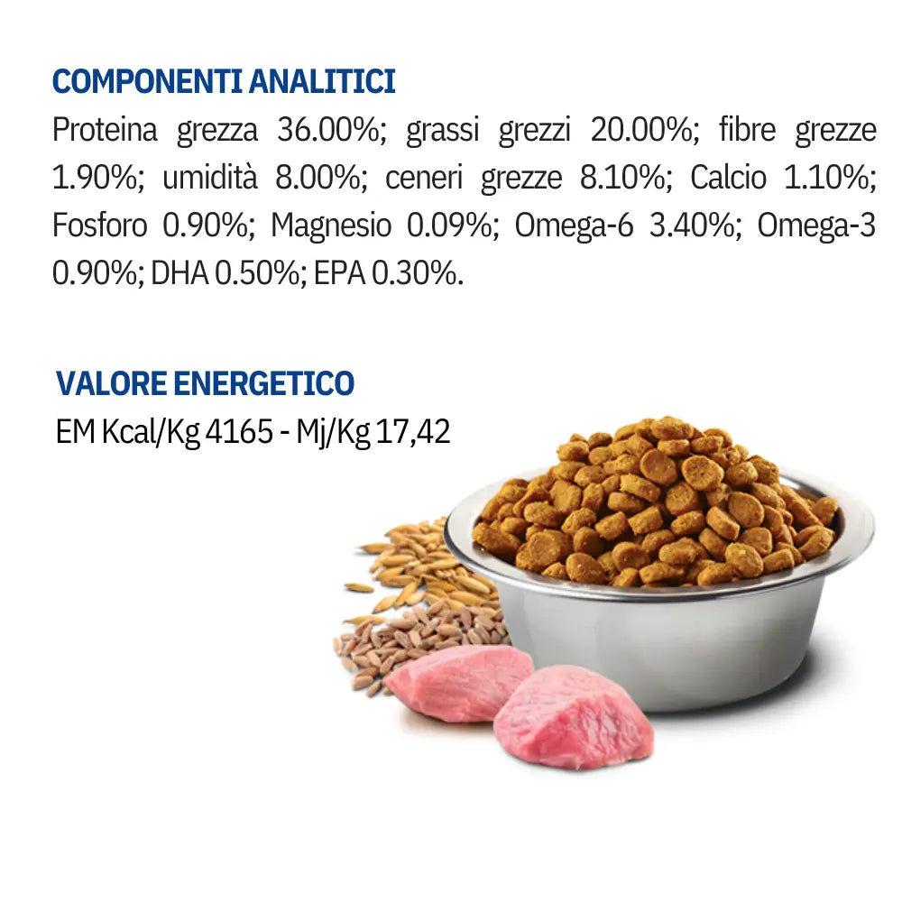 N&D Ancestral agnello e mirtillo gatto - Respet Shop