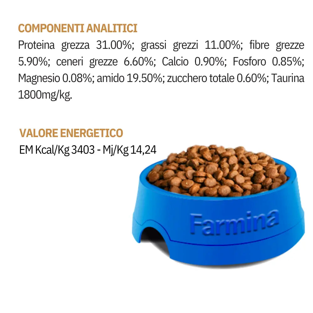 Matisse neutered Farmina