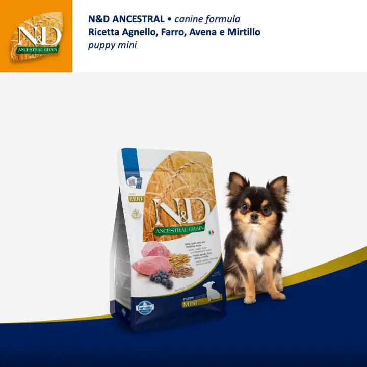 N&D Ancestral Agnello & Mirtillo Farmina