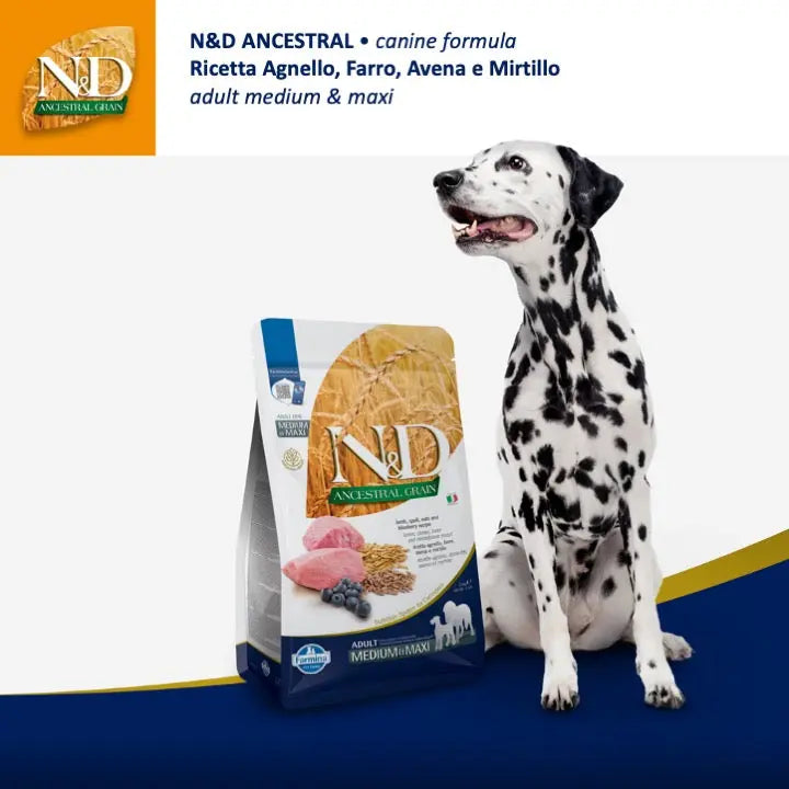 N&D Ancestral Agnello & Mirtillo Farmina