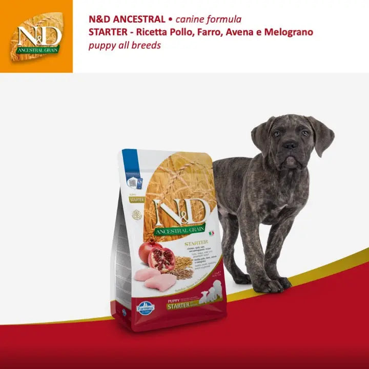 N&D Ancestral Pollo & Melograno Farmina