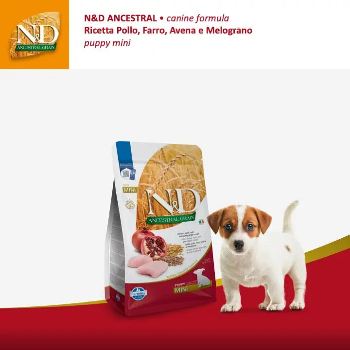 N&D Ancestral Pollo & Melograno Farmina