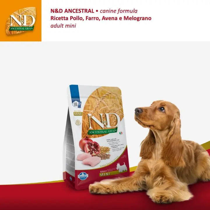 N&D Ancestral Pollo & Melograno Farmina