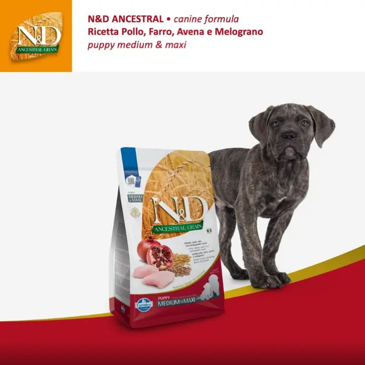 N&D Ancestral Pollo & Melograno Farmina