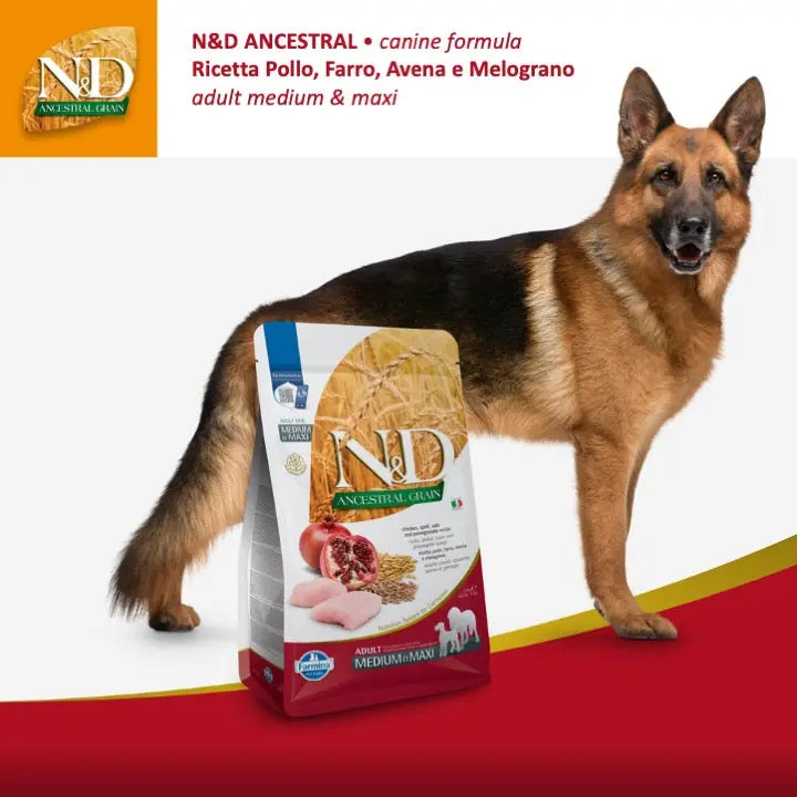 N&D Ancestral Pollo & Melograno Farmina