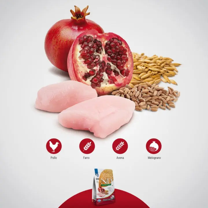 N&D Ancestral Pollo & Melograno Farmina