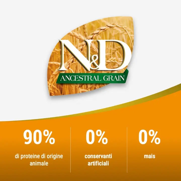 N&D Ancestral Pollo & Melograno Farmina