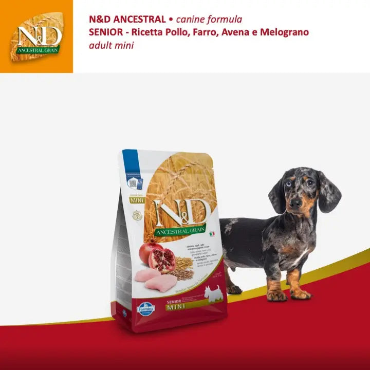 N&D Ancestral Pollo & Melograno Farmina