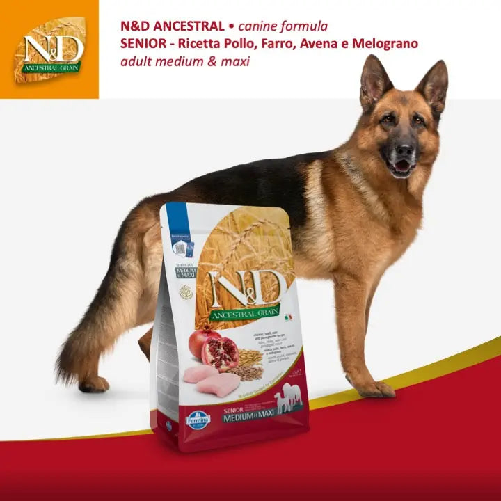 N&D Ancestral Pollo & Melograno Farmina