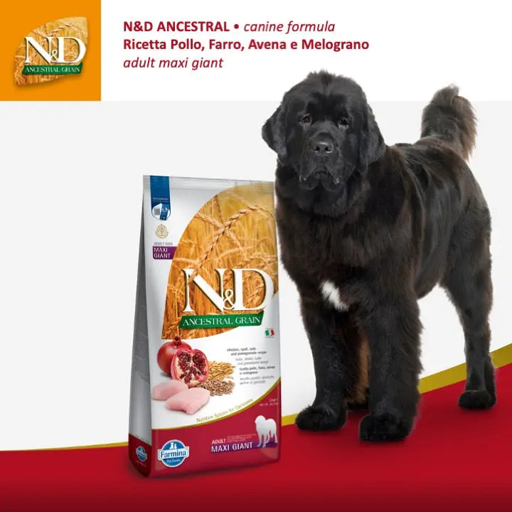 N&D Ancestral pollo e melograno cane adult maxi giant Farmina