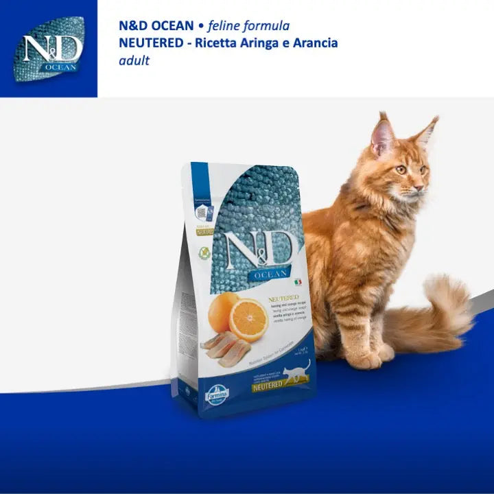 N&D Ocean Aringa & Arancia Farmina