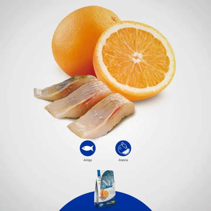 N&D Ocean Aringa & Arancia Farmina