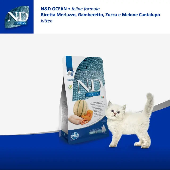 N&D Ocean Merluzzo, Gamberi, Zucca & Cantalupo Farmina