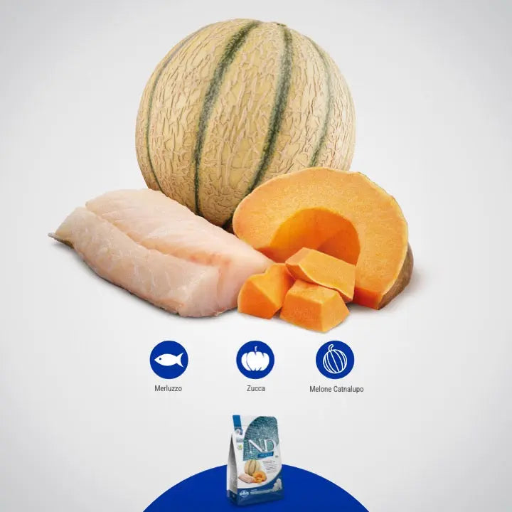 N&D Ocean Merluzzo, Zucca & Cantalupo Farmina