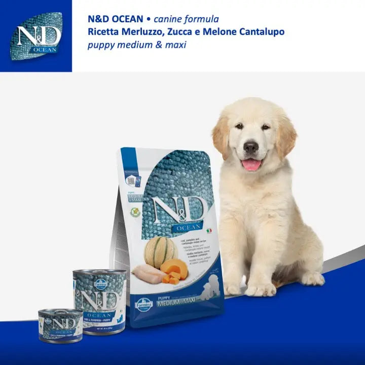 N&D Ocean Merluzzo, Zucca & Cantalupo Farmina