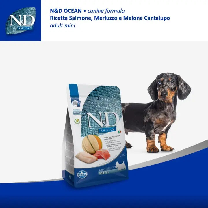 N&D Ocean Salmone, Merluzzo & Cantalupo Farmina