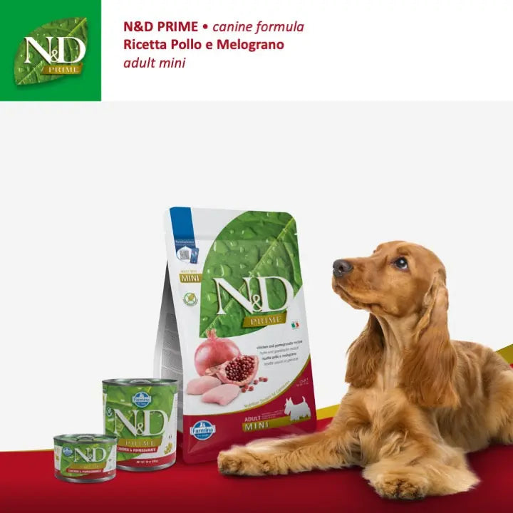 N&D Prime Pollo & Melograno Farmina