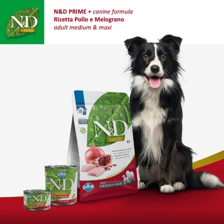 N&D Prime Pollo & Melograno Farmina