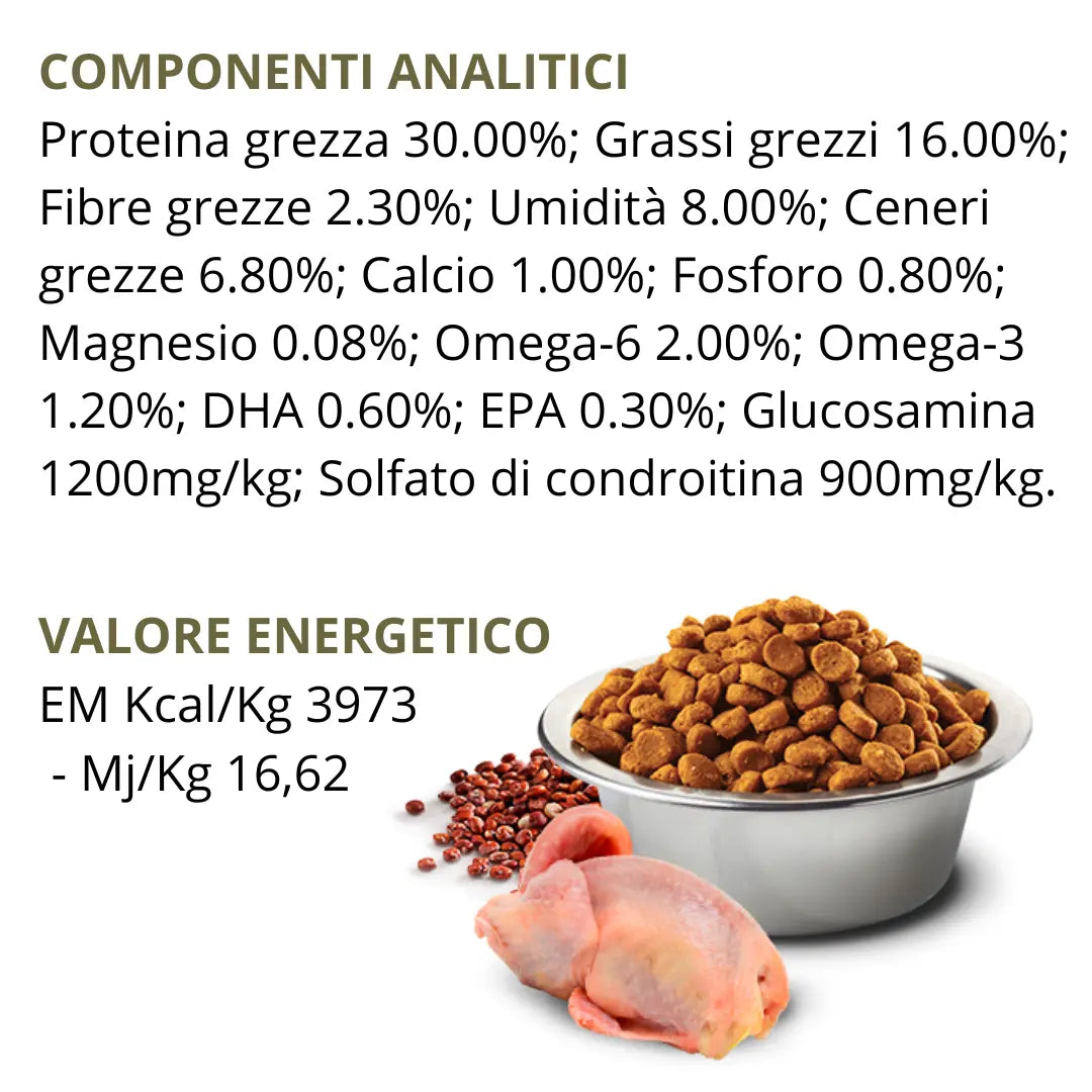 N&D Quinoa Skin & Coat Quaglia, Cocco & Curcuma Farmina