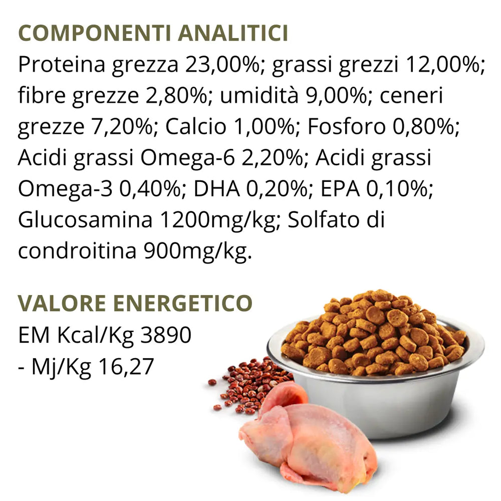 N&D Quinoa Skin & Coat Quaglia, Cocco & Curcuma Farmina