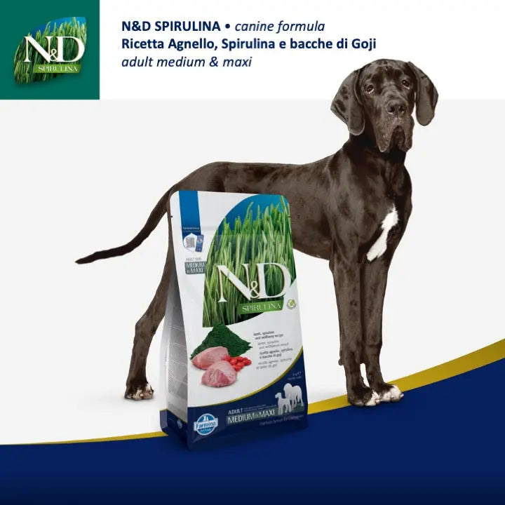 N&D Spirulina Agnello Farmina