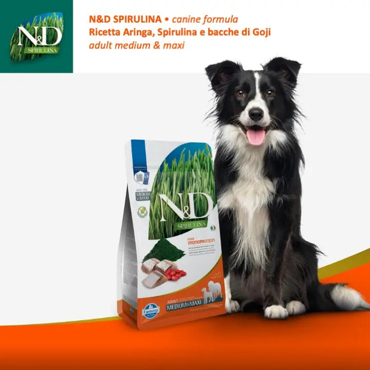 N&D Spirulina Aringa & bacche di goji Farmina