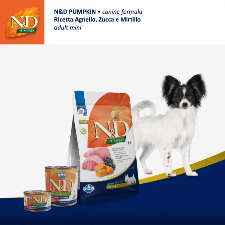 N&D Zucca Agnello & Mirtillo Farmina