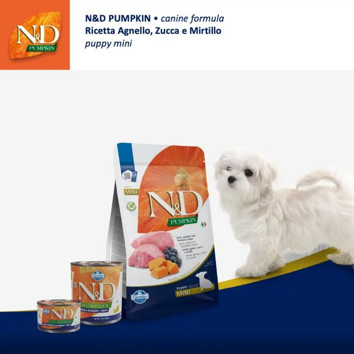 N&D Zucca Agnello & Mirtillo Farmina