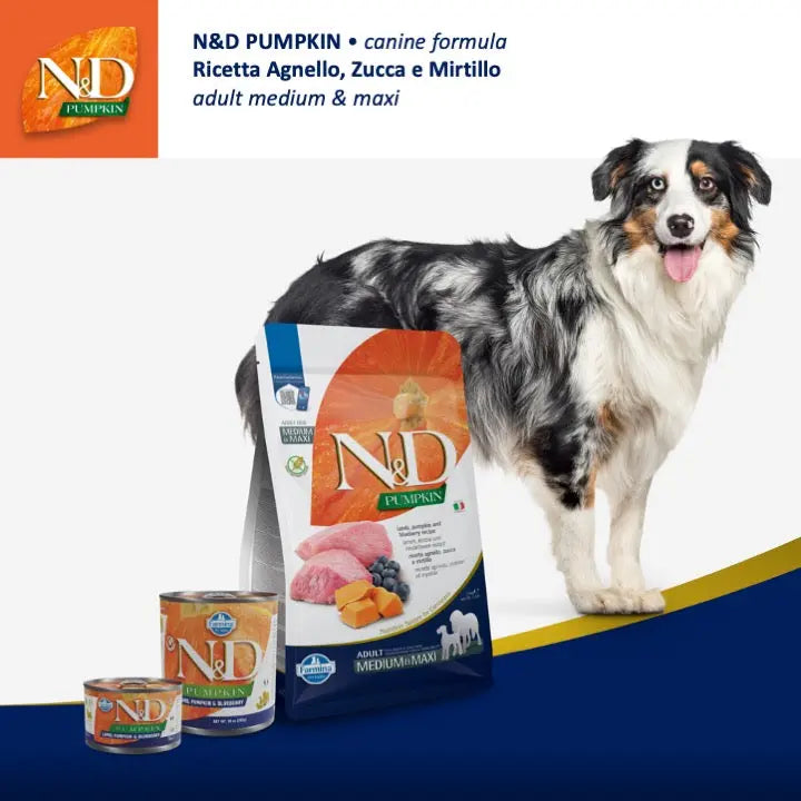 N&D Zucca Agnello & Mirtillo Farmina