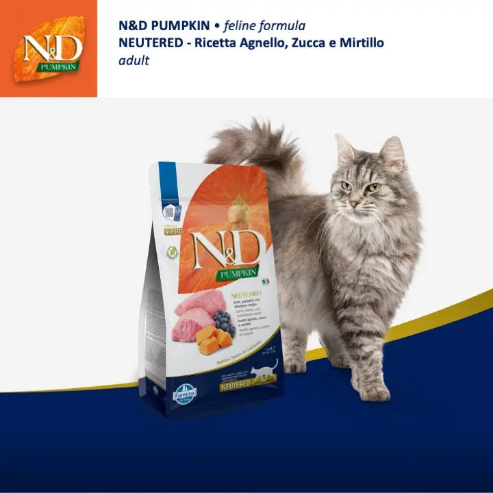 N&D Zucca Agnello & Mirtillo Farmina