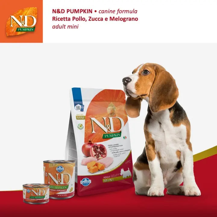 N&D Zucca Pollo & Melograno Farmina