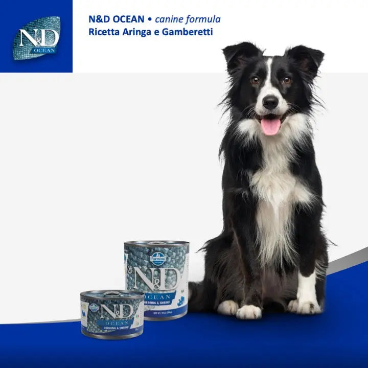 Umido N&D Ocean Aringa e Gamberetti Farmina