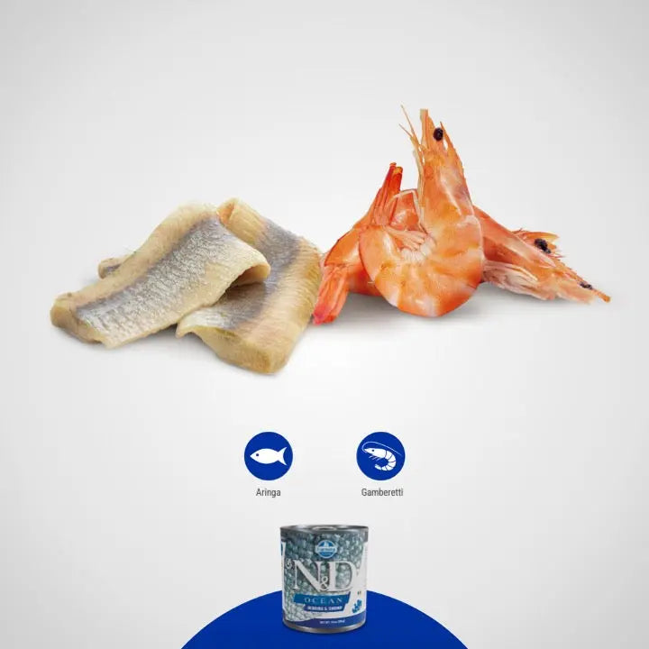 Umido N&D Ocean Aringa e Gamberetti Farmina