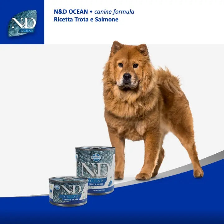 Umido N&D Ocean Trota & Salmone Farmina
