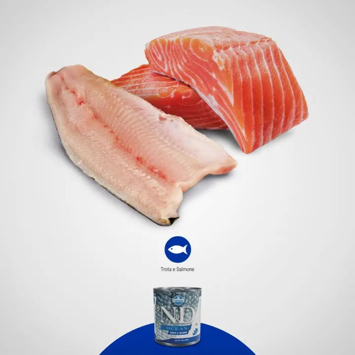 Umido N&D Ocean Trota & Salmone Farmina