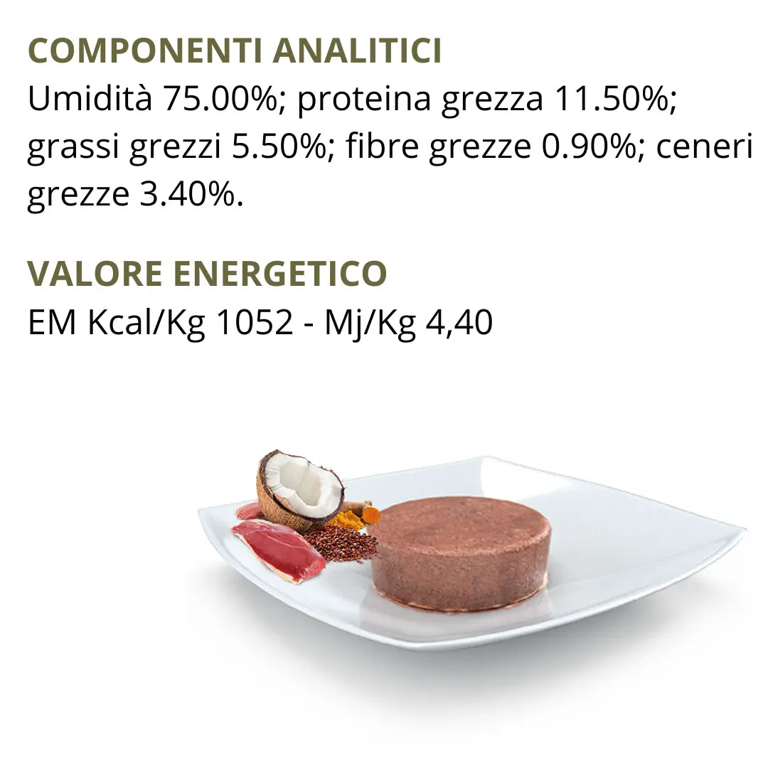Umido N&D Quinoa Skin & Coat Anatra & Cocco Farmina