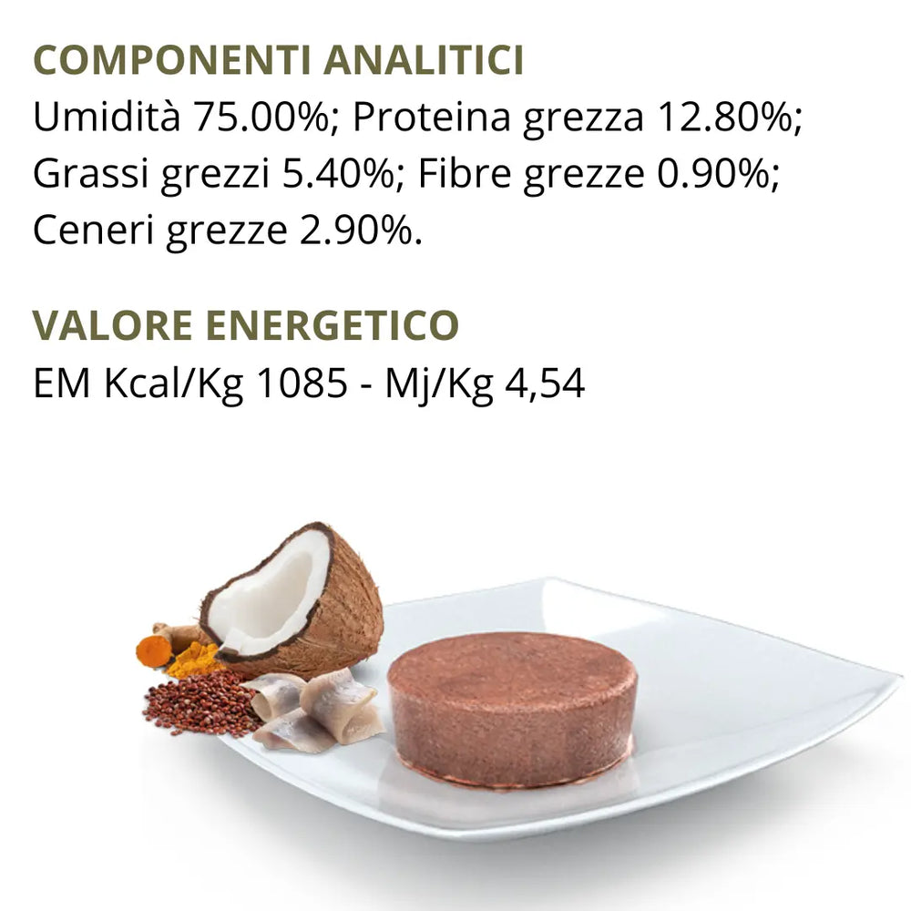 Umido N&D Quinoa Skin & Coat Aringa & Cocco Farmina