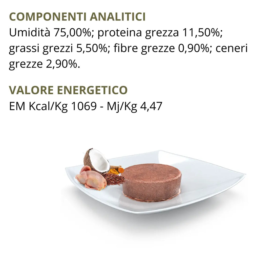 Umido N&D Quinoa Skin & Coat Quaglia & Cocco Farmina