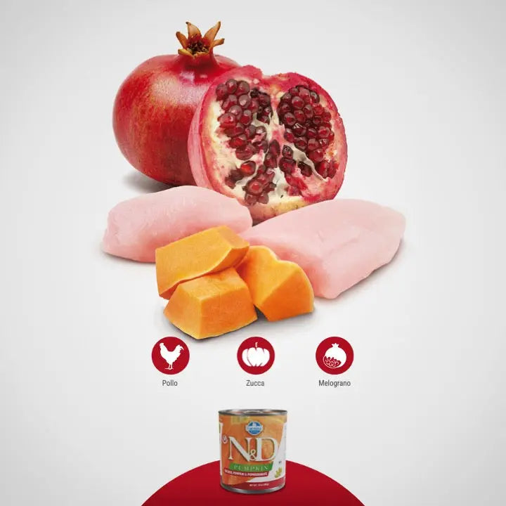 Umido N&D Zucca e Pollo Farmina