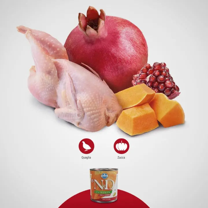 Umido N&D Zucca e Quaglia Farmina