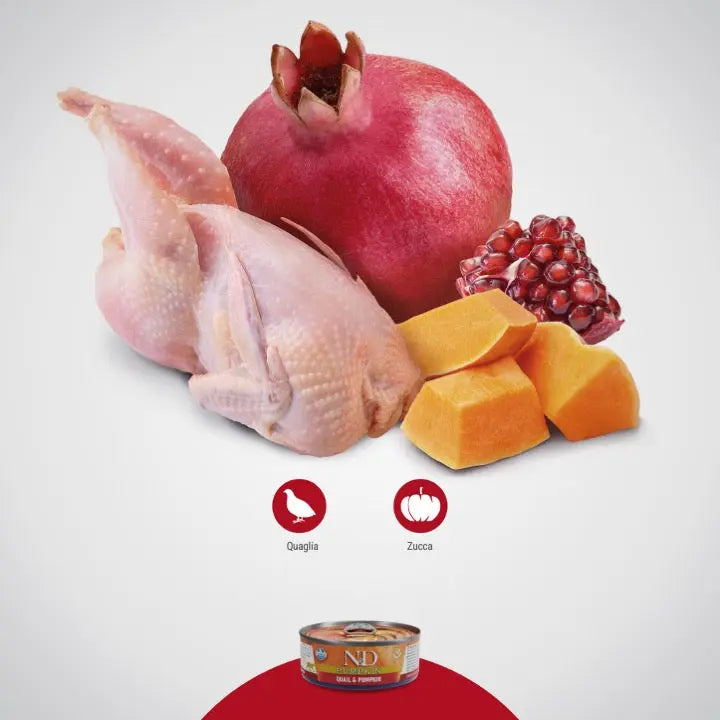 Umido N&D Zucca e Quaglia Farmina