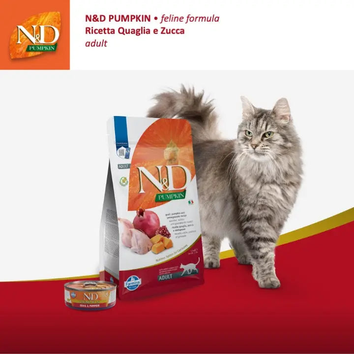 Umido N&D Zucca e Quaglia Farmina