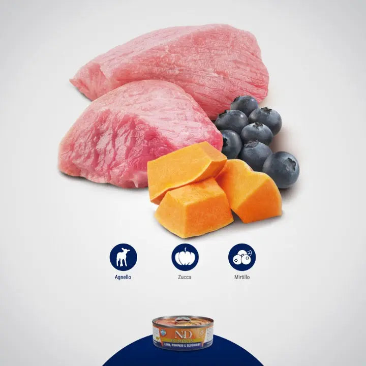 Umido N&D Zucca, Agnello & Mirtillo Farmina