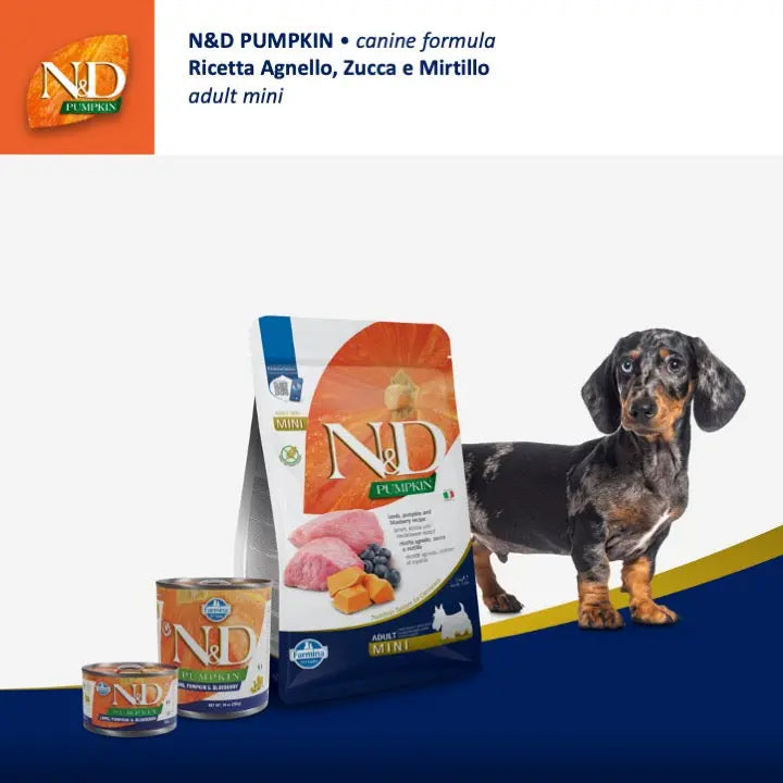 Umido N&D Zucca, Agnello & Mirtillo Farmina