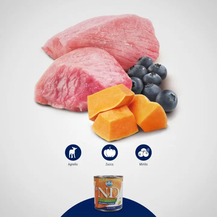 Umido N&D Zucca, Agnello & Mirtillo Farmina