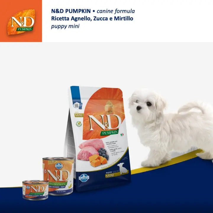 Umido N&D Zucca, Agnello & Mirtillo Farmina